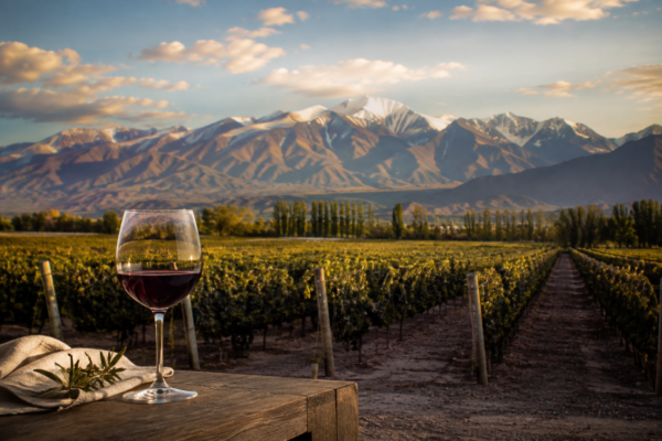 Mendoza: el paisaje que se degusta